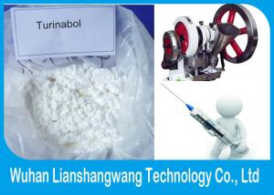 Turinabol cycle for sale