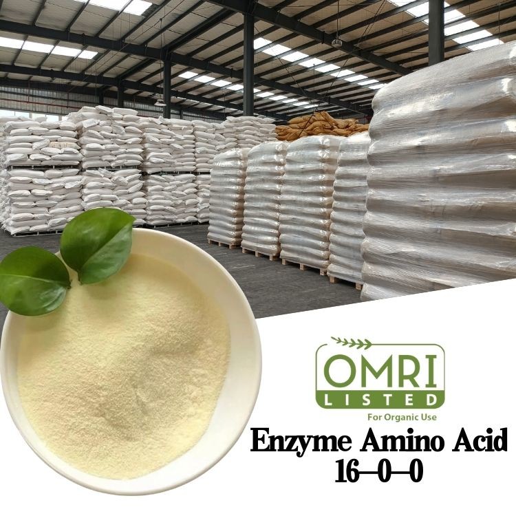 Buy cheap OMRI Soybean Protein Based Enzyme Amino Acid 80% Organic Nitrogen Fertilizer 16 from wholesalers