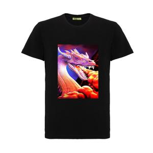 China Cool 3D Flip Effect T - Shirt 100% Cotton Soft Material For Printing 3D Artwork wholesale