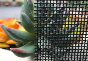 China Clear View Stainless Window Screen Mesh Thickness 0.8mm 11 X 11 Mesh 316 wholesale
