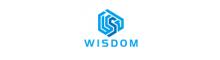 China Shandong Wisdom Intelligent Technology CO.,Ltd logo