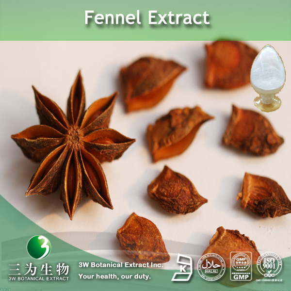 Buy cheap Anise extract from wholesalers