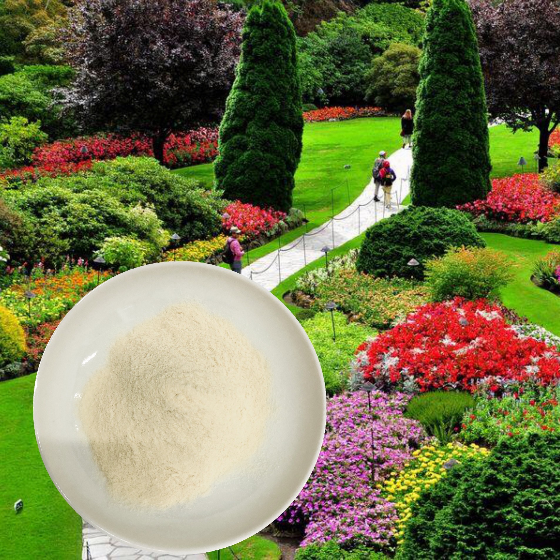 China Drip Irrigation Agricultural Fertilizer Of Compound Amino Acid Powder 52% wholesale