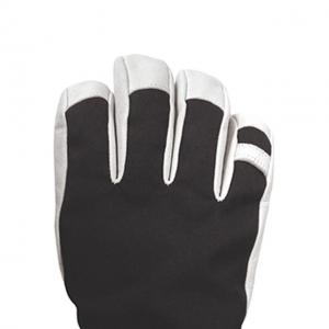 China Polyfill Insulation Warm Winter Ski Gloves Windproof Waterproof wholesale
