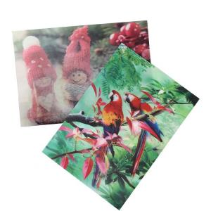 China 75PI 0.45MM PET lenticular 3D lenticular printing glitter postcard /3D lenticular printing Christmas Cards gift wholesale