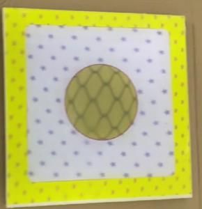 China Honey cube parallex 3D Fly-Eye Lenticular Software for making continuous dot 3d pattern with english language on windows wholesale