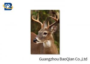 China Animal Lenticular Greeting Cards , Deer 3D Greeting Cards For Christmas / New Year wholesale