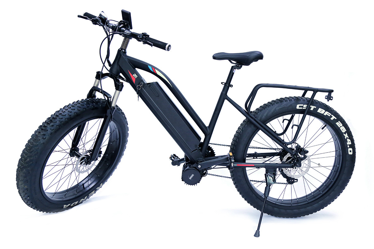China High Speed  48v 1000w Bafangcentral motor  Mountain Electric Fat Bike with front  suspension fork and LCD color display wholesale