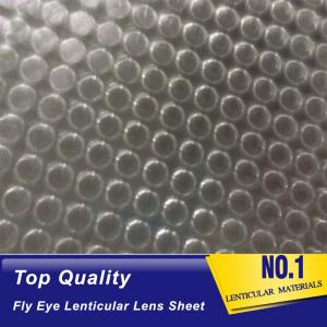 China OK3D fly eye 3d sheet new product dot lens sheet 3d effect 360 degrees lenticular sheet arrays fly eye lenses sheet wholesale