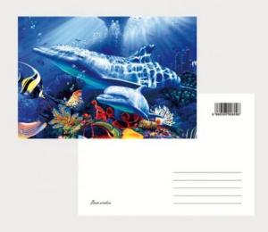 China OK3D eco-friendly materials pp pet 3D postcards plant flip effect lenticular postcards 3 views changing postcards prints wholesale