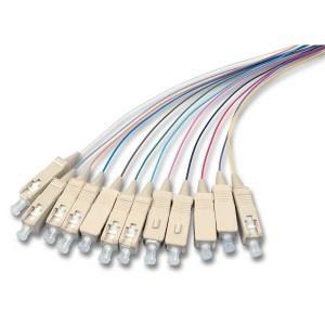China 12 Color Fiber Optic Pigtail 2 - 48 Cores Single / Multi Mode Various Connector Types wholesale
