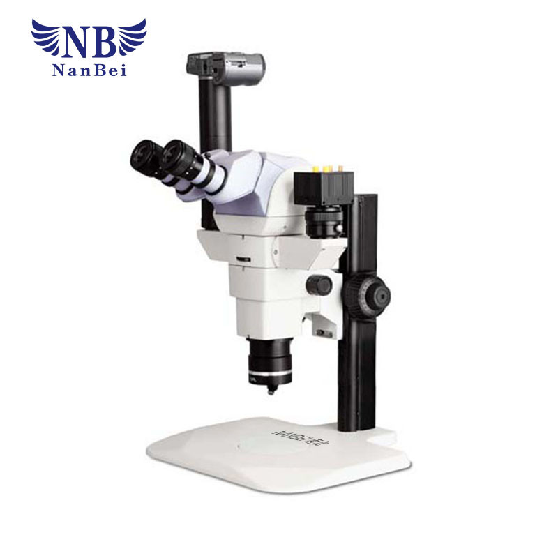 China Laboratory Medical Laboratory Microscope , Study Grade Stereo Microscope wholesale