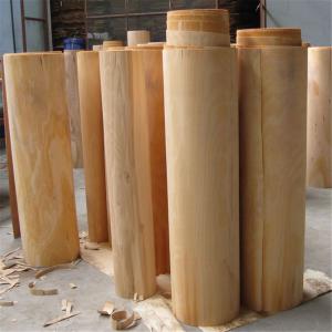 China Precise Cutting Beech Veneer Sheets , Natural Beech Veneer Customized Size wholesale