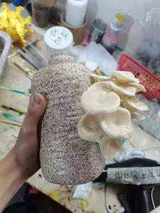 China Resin ABS Custom 3D Printing Service For Home Decoration Art Plant Model wholesale