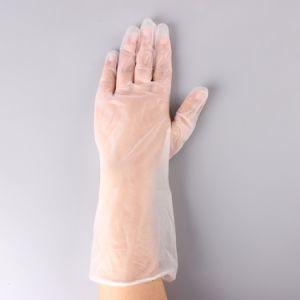 China Powder Free Disposable PVC Gloves For Preventing Bacteria / Virus wholesale