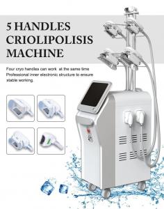 China Vertical 4 Cryo Handles Work At The Same Time Cryolipolysis Device Body Sculpt Slimming wholesale
