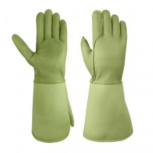 China thornproof Rose Pruning Garden Gloves wholesale