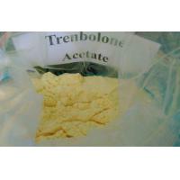 Tren acetate and test enanthate dosage