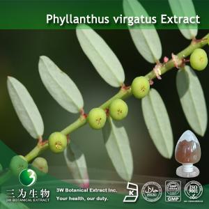 China Engelhardtia Extract wholesale