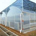 China PE Plastic Film Greenhouse Multi Span Sawtooth Turnkey Project wholesale