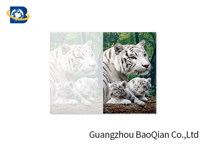 China Lovely Animals 3D Image Lenticular Card Printing Two Sides CMYK Offset Printing wholesale