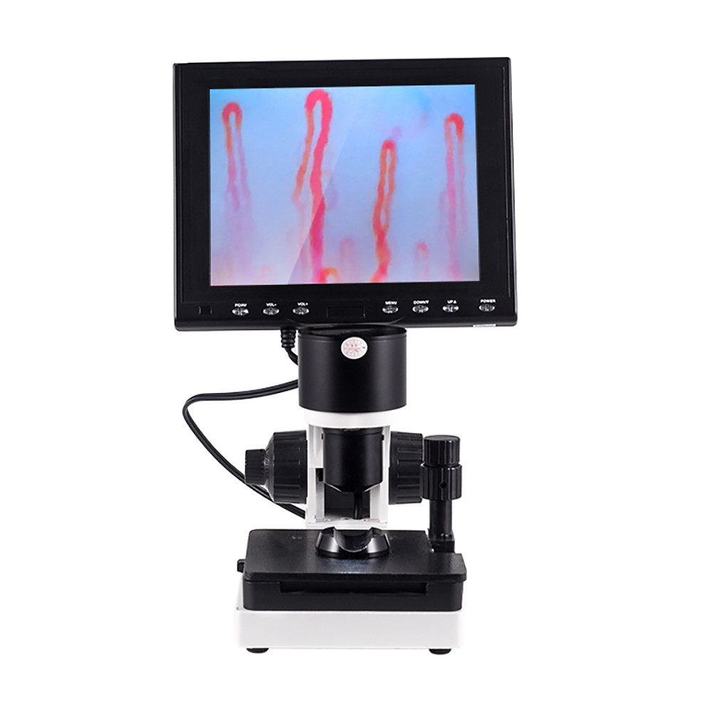 China Portable Led Display Nail Fold Capillaroscopy Microscope 400x Magnification wholesale