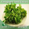Buy cheap Eschscholzia californica Extract from wholesalers