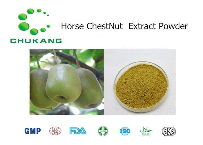 China Natural Plant Extract Powder Horse Chest Nut P.E. Horse Chest Nut Extract Natural Herb Powder wholesale