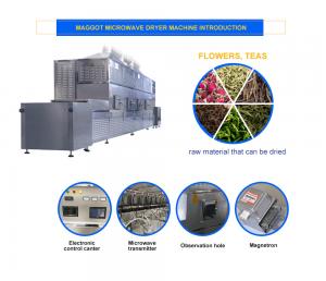 China Industrial Sterilization Equipment wholesale