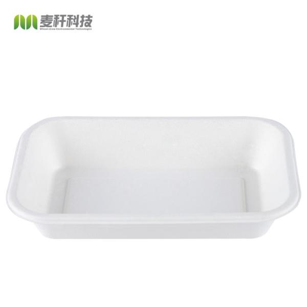 Sugarcane pulp bagasse tableware rectangular container tray for sushi pork