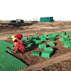 China HDPE PP Driveway Grass Grid High Compressive Strength Plastic Grid for Car Parking Lot wholesale