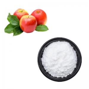 China Organic 5% 8% Dried Apple Extract Cider Vinegar Powder For Food Product wholesale