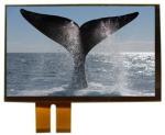 Customized 10.1inch SPI TFT LCD Display IPS LCD Screen 1920(RGB)X1080