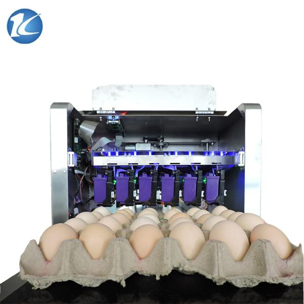 Quality Professional Egg Stamping Machine Laser Batch Coding Machine 600dpi Resolution for sale