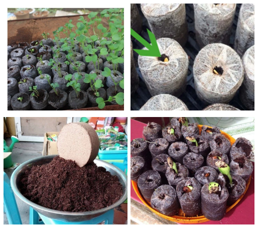 Tablet Press / Nutritive Block Tablet Press Machine / Automatic Seeding Cube Coir Jiffy Coco Peat Pellets for Growing