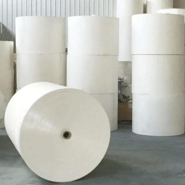 Eco-Friendly PLA Coated Paper Roll for Food Packaging Solutions