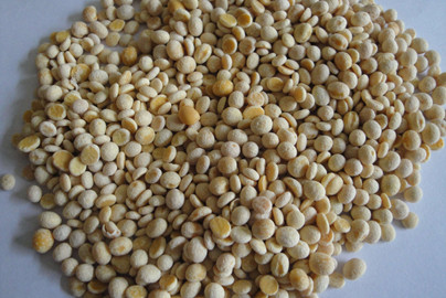 100kg-300kg dry mung bean sheller soy crusher per hour YTPS-18B Peeling Machine Mung bean dry peeling machine