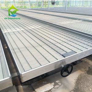 China Movable Hydroponic Ebb And Flood Customized Greenhouse Rolling Benches Seedbed on sale