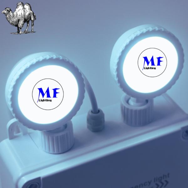Emergency Double Head Light IP65 Waterproof Outdoor Indoor Long Duration Time Rechargeable Energy Saving 2*5W AC 85-265V Exit Sign LED Emergency Light
