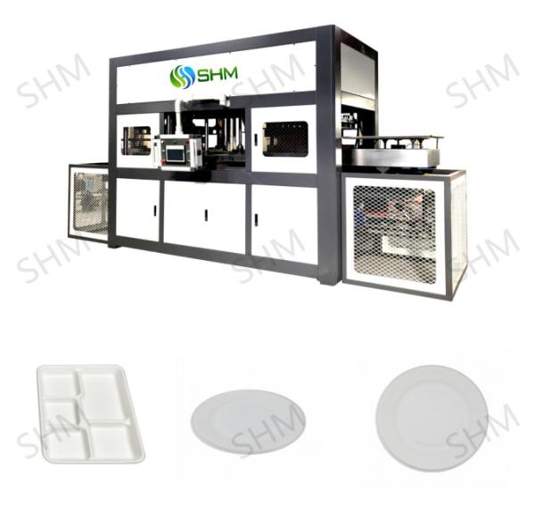 Quality Biodegradable Pulp Molding Tableware Machine Customized Pulp Tray Machine Line for sale