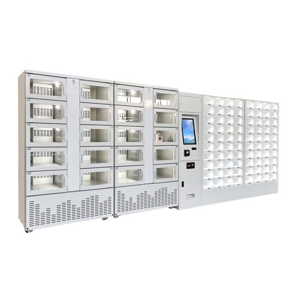Remote Control Refrigerator Locker
