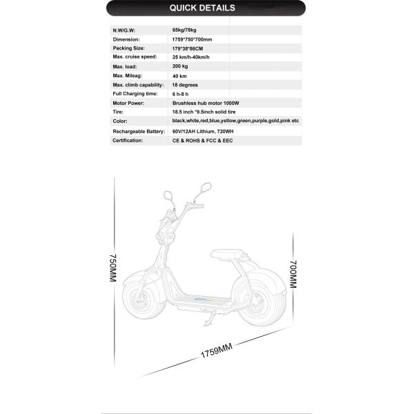 EEC/COC 2 Wheel Electric Scooter 70 Km Range 20 Degree Climb Capability