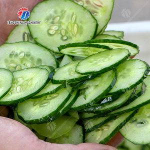 Oblique Slicer Vegetable and MEAT Cutting Beef Pork Chicken Lamb Potato Carrot