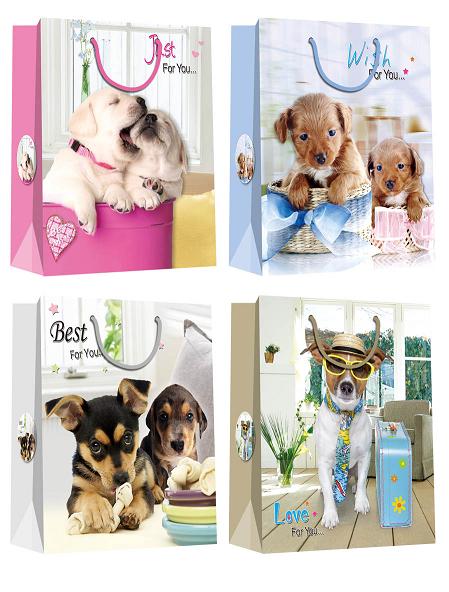Birthday Gift Bags