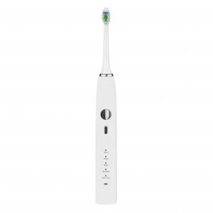 China ISO13485 BSCI Rechargeable Sonic Toothbrush For Teeth Cleaning wholesale