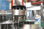 Automatic 5L 10L Water Rinsing Filling Capping Machine Monoblock System