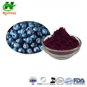 China FDA Antioxidant Powder 10%-25% Bilberry Extract Powder Bilberry Vaccinium Myrtillus Extract wholesale