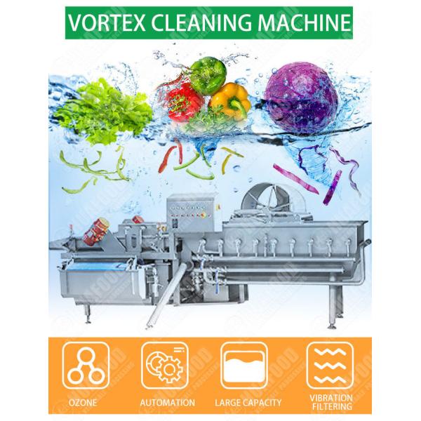 Leafy Vegetable 1000KG/H Eddie Current Washing Machine