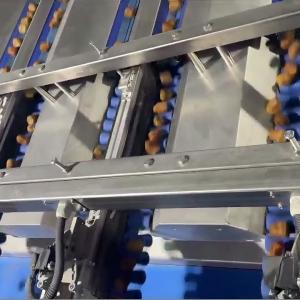 China Intelligent Date Sorting Machine Featuring AI Deep Learning Food-Grade Safety Materials And Smart Multi-Exit Discharge wholesale