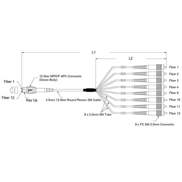 SM MM OM3 OM4 OS2 Fanout MPO MTP Cable SC LC FC ST Connectors